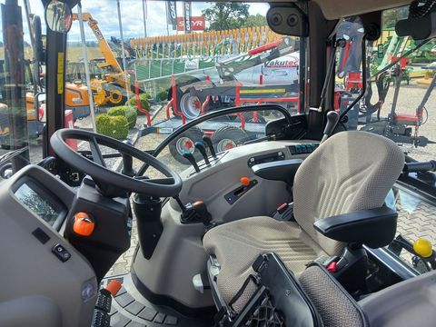 [3342-6203703-13.jpg]