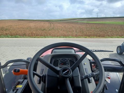 [3342-6203703-17.jpg]