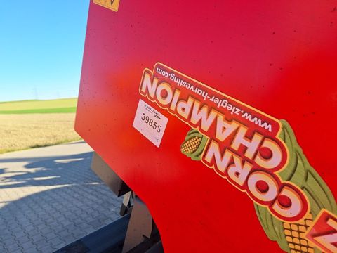 [3342-6293583-17.jpg]