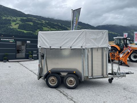 [3342-6293599-7.jpg]