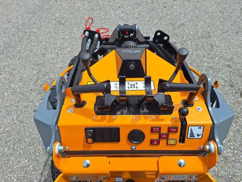 [3342-6386239-10.jpg]