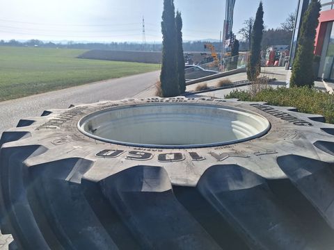 [3342-6518346-10.jpg]