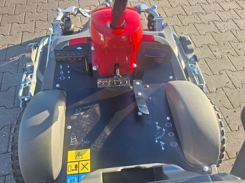 [3342-6522685-13.jpg]