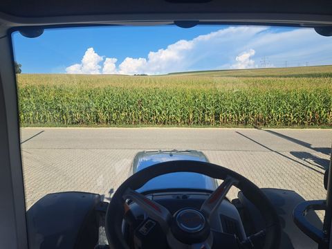 [3342-6607103-16.jpg]