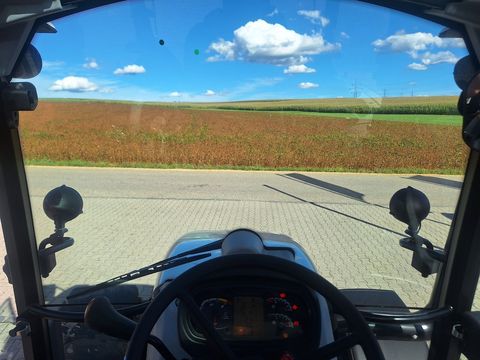 [3342-6667343-16.jpg]