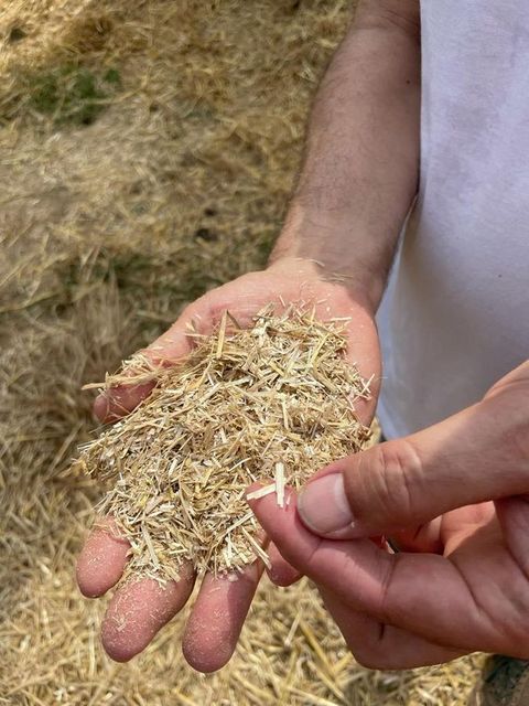 [3379-2935140-11.jpg]