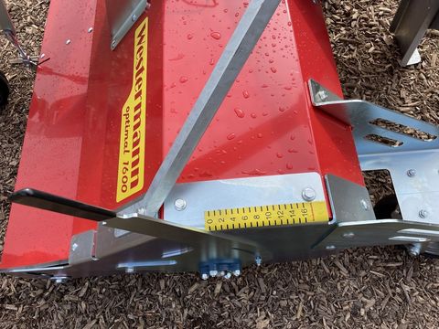 [3379-3057793-8.jpg]