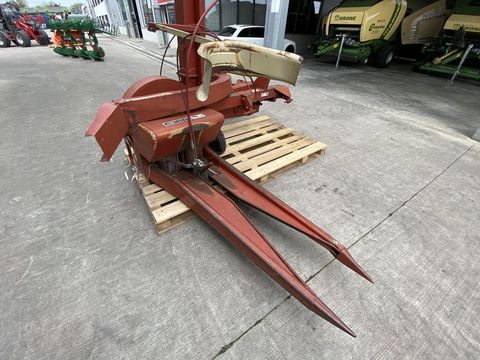 [3379-4213186-2.jpg]