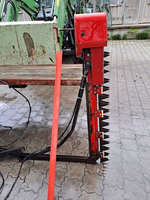 [3379-5645639-7.jpg]