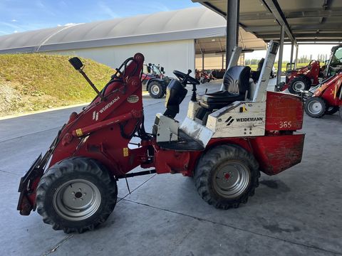 [3379-6110557-17.jpg]