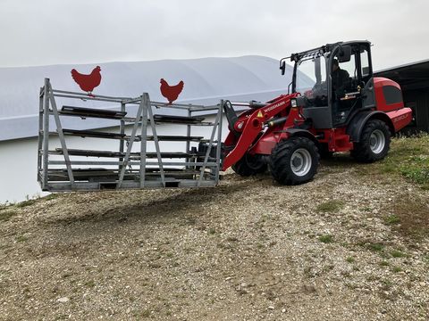 [3379-6298668-8.jpg]