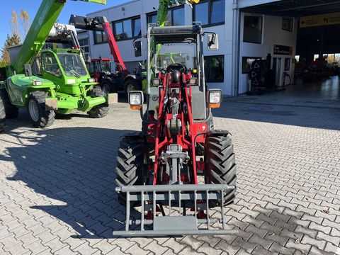 [3379-6406132-1.jpg]