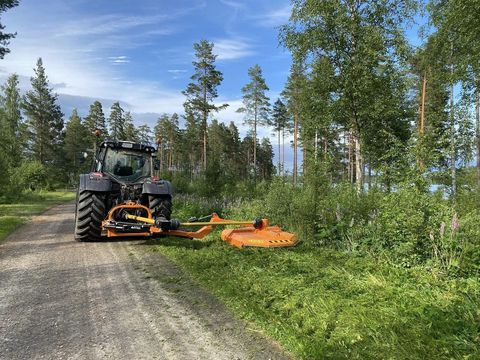 [3379-6535077-3.jpg]