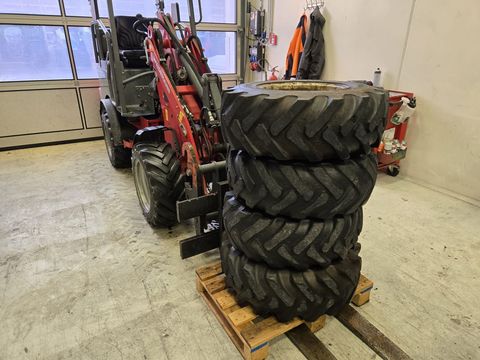 [3379-6626081-11.jpg]