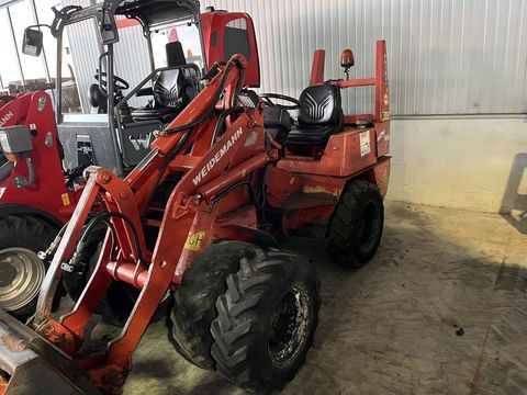 [3379-6645387-0.jpg]