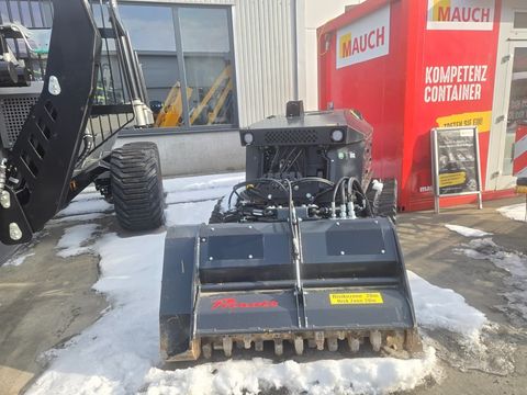 [3379-6649673-0.jpg]