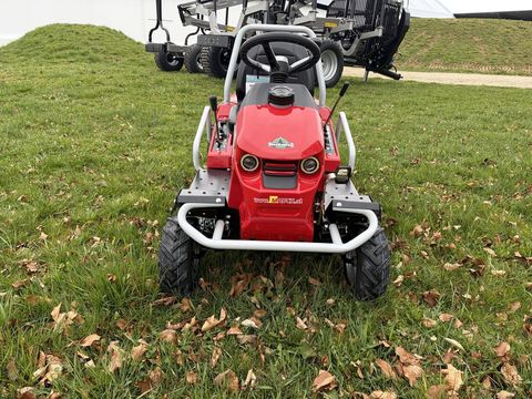 [3379-6884385-18.jpg]