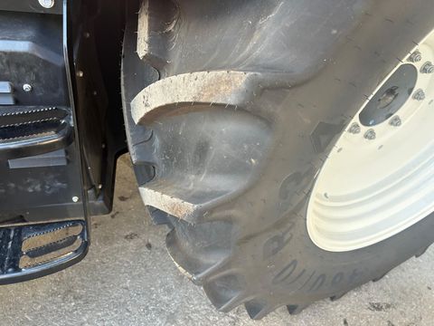 [3383-6430515-8.jpg]