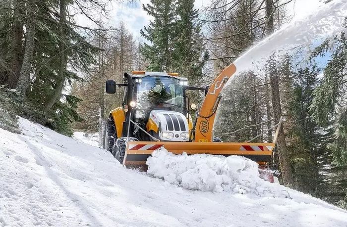 [3383-6481396-0_1.jpg]