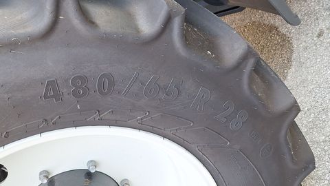 [3489-5981711-13.jpg]