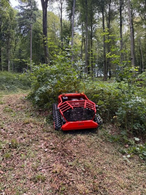 [3489-6403023-10.jpg]