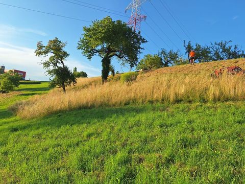 [3489-6403023-8.jpg]