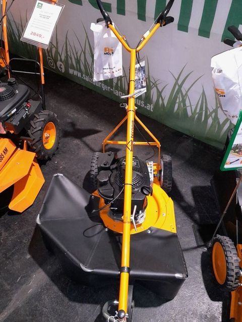 [3489-6663830-0.jpg]