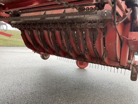 [3508-4502140-20.jpg]