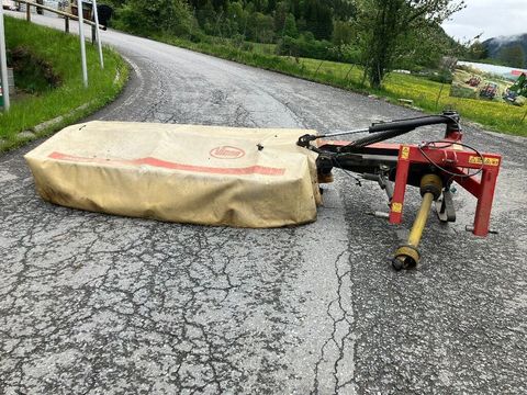 [3511-5651371-0.jpg]