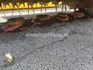 [3559-5541494-5.jpg]