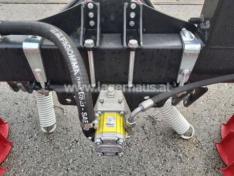 [3559-6298935-13.jpg]