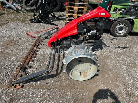 [3559-6299670-2.jpg]