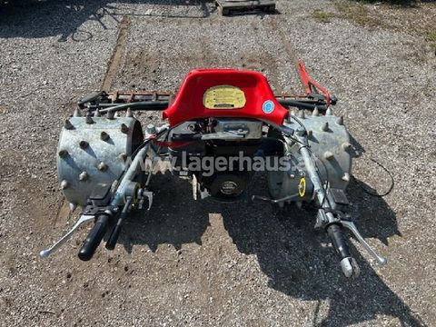 [3559-6299670-3.jpg]