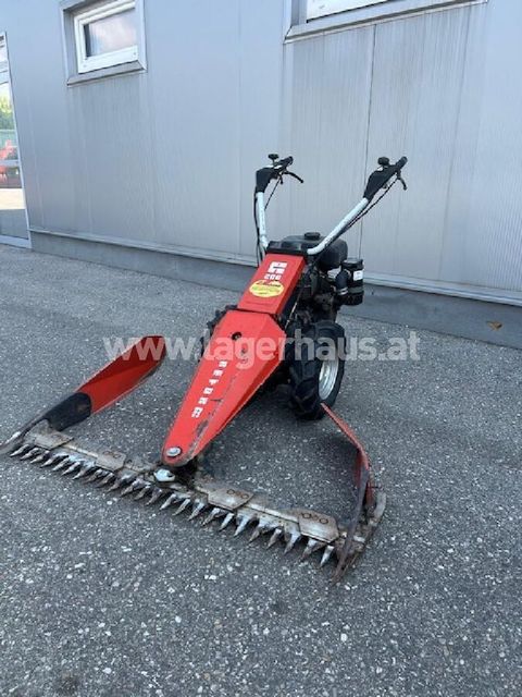 [3559-6299772-1.jpg]