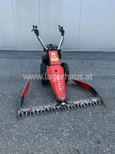 [3559-6299772-4.jpg]