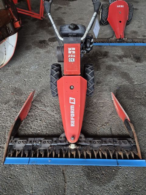 [3559-6509197-0.jpg]