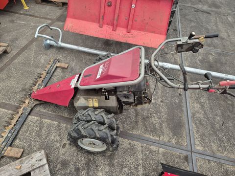 [3559-6509200-4.jpg]