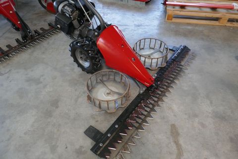 [3600-3190049-5.jpg]