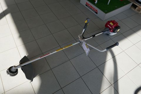 [3600-3681411-0.jpg]