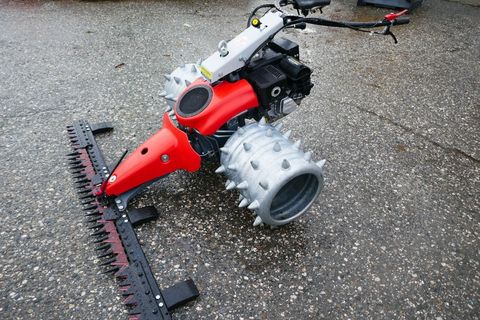 [3600-5152320-1.jpg]