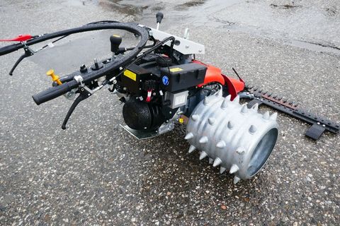 [3600-5152320-8.jpg]