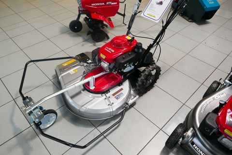 [3600-5431318-0.jpg]