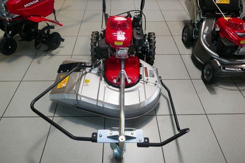 [3600-5431318-1.jpg]