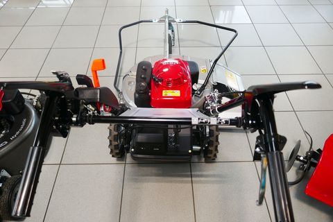 [3600-5431318-5.jpg]