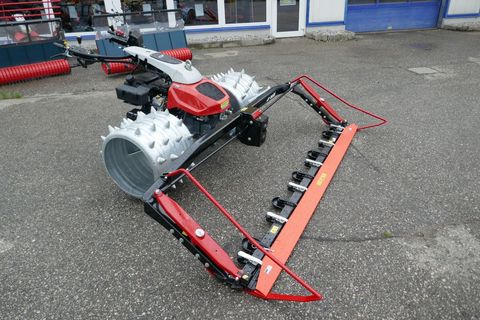 [3600-5651415-3.jpg]