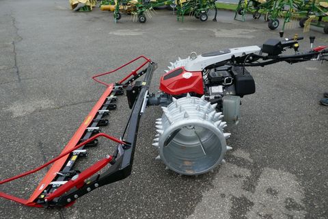 [3600-5651415-8.jpg]