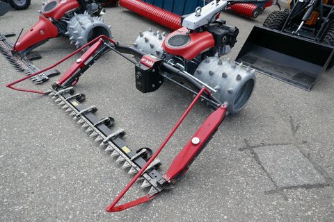[3600-5667125-9.jpg]