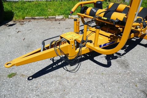 [3600-5781085-10.jpg]