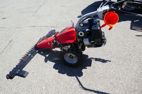 [3600-5843896-2.jpg]