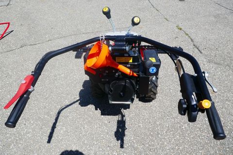 [3600-5843896-3.jpg]